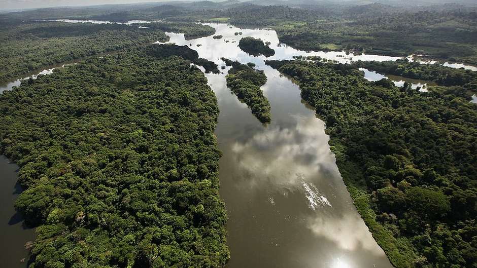Floresta Amazônia Brasileira